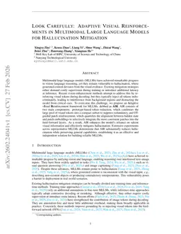 Look Carefully: Adaptive Visual Reinforcements in Multimodal Large Language Models for Hallucination Mitigation