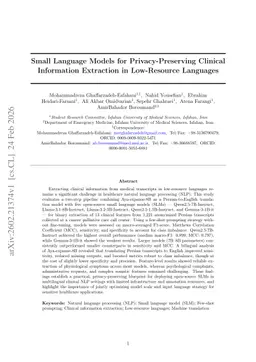 Small Language Models for Privacy-Preserving Clinical Information Extraction in Low-Resource Languages