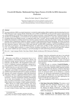 CrossLLM-Mamba: Multimodal State Space Fusion of LLMs for RNA Interaction Prediction