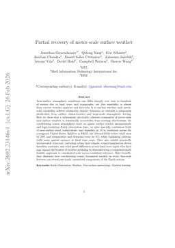 Partial recovery of meter-scale surface weather