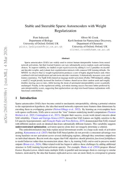Stable and Steerable Sparse Autoencoders with Weight Regularization