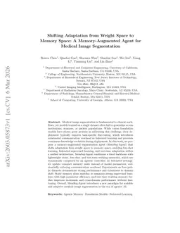 Shifting Adaptation from Weight Space to Memory Space: A Memory-Augmented Agent for Medical Image Segmentation