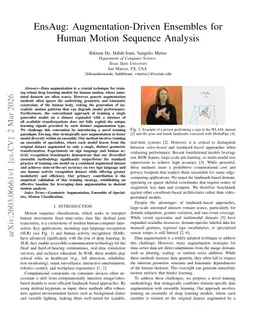 EnsAug: Augmentation-Driven Ensembles for Human Motion Sequence Analysis