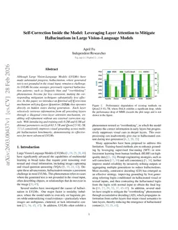 Self-Correction Inside the Model: Leveraging Layer Attention to Mitigate Hallucinations in Large Vision Language Models