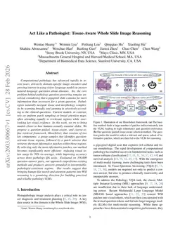 Act Like a Pathologist: Tissue-Aware Whole Slide Image Reasoning