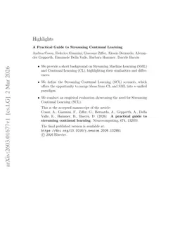 A Practical Guide to Streaming Continual Learning