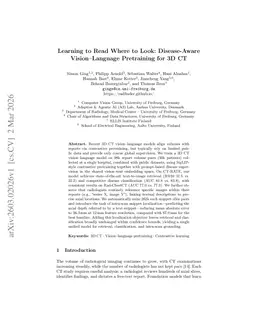 Learning to Read Where to Look: Disease-Aware Vision-Language Pretraining for 3D CT