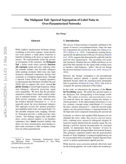 The Malignant Tail: Spectral Segregation of Label Noise in Over-Parameterized Networks