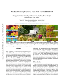 Any Resolution Any Geometry: From Multi-View To Multi-Patch