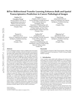 BiTro: Bidirectional Transfer Learning Enhances Bulk and Spatial Transcriptomics Prediction in Cancer Pathological Images