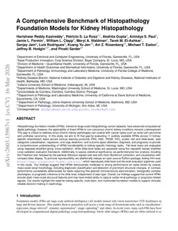 A Comprehensive Benchmark of Histopathology Foundation Models for Kidney Digital Pathology Images