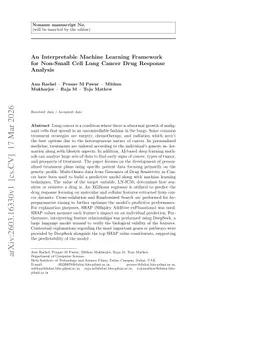 An Interpretable Machine Learning Framework for Non-Small Cell Lung Cancer Drug Response Analysis
