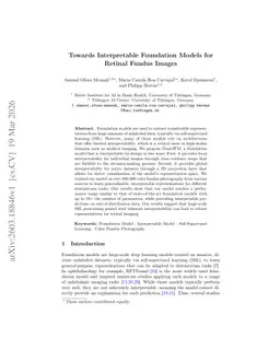 Towards Interpretable Foundation Models for Retinal Fundus Images