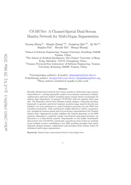 CS-MUNet: A Channel-Spatial Dual-Stream Mamba Network for Multi-Organ Segmentation