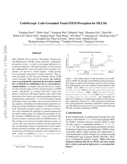 CodePercept: Code-Grounded Visual STEM Perception for MLLMs