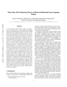 Video-Only ToM: Enhancing Theory of Mind in Multimodal Large Language Models