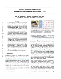 Bridging Perception and Reasoning: Token Reweighting for RLVR in Multimodal LLMs