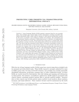 Protecting User Prompts Via Character-Level Differential Privacy