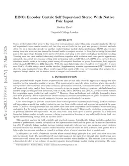 BINO: Encoder Centric Self Supervised Stereo With Native Pair Input