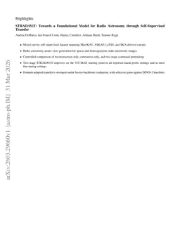 STRADAViT: Towards a Foundational Model for Radio Astronomy through Self-Supervised Transfer