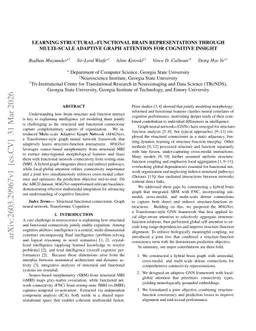 Learning Structural-Functional Brain Representations through Multi-Scale Adaptive Graph Attention for Cognitive Insight