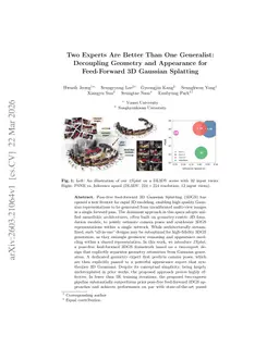 Two Experts Are Better Than One Generalist: Decoupling Geometry and Appearance for Feed-Forward 3D Gaussian Splatting