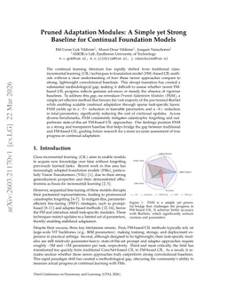 Pruned Adaptation Modules: A Simple yet Strong Baseline for Continual Foundation Models