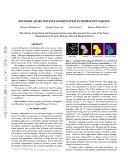 Boundary-Aware Instance Segmentation in Microscopy Imaging