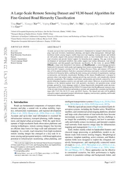 A Large-Scale Remote Sensing Dataset and VLM-based Algorithm for Fine-Grained Road Hierarchy Classification