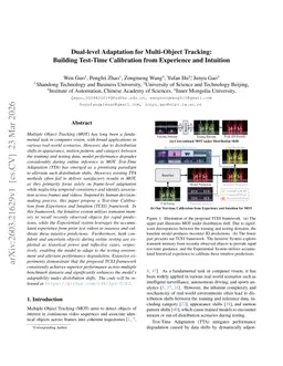 Dual-level Adaptation for Multi-Object Tracking: Building Test-Time Calibration from Experience and Intuition