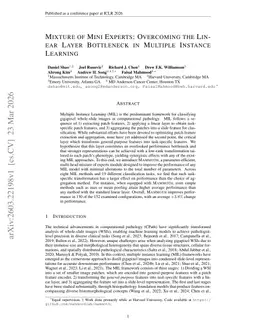 Mixture of Mini Experts: Overcoming the Linear Layer Bottleneck in Multiple Instance Learning